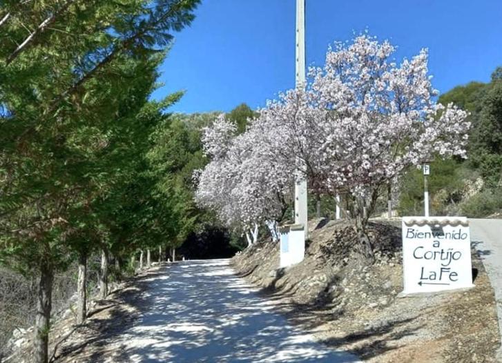 Cortijo La Fe Casa de hóspedes Montefrío Exterior foto