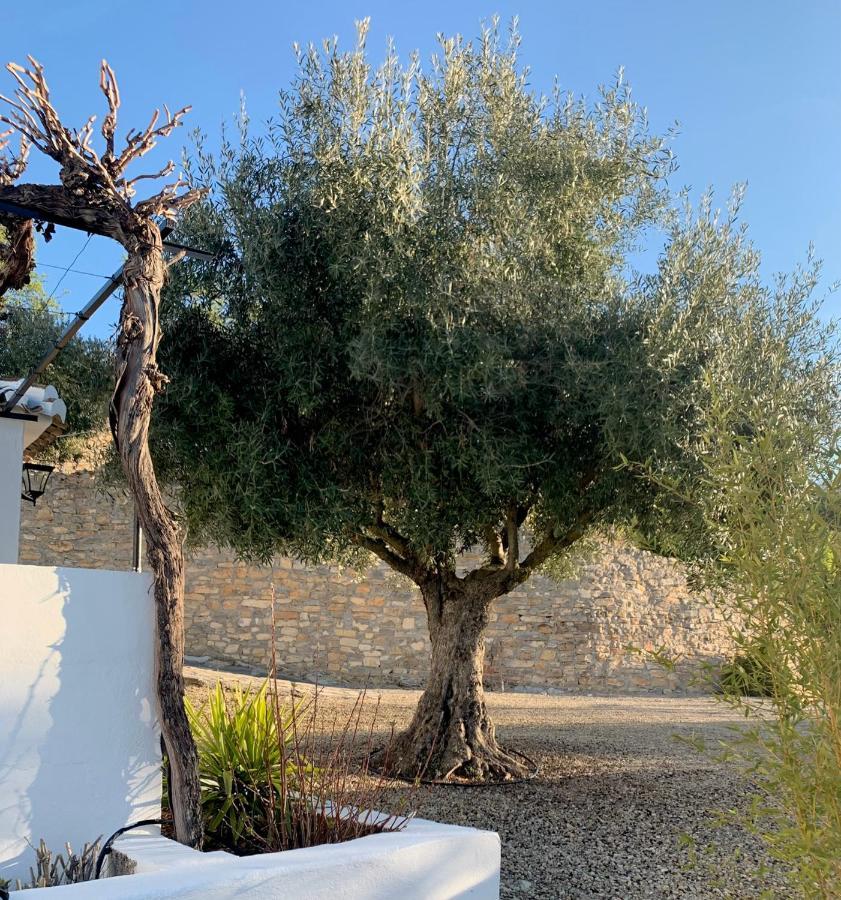 Cortijo La Fe Casa de hóspedes Montefrío Exterior foto