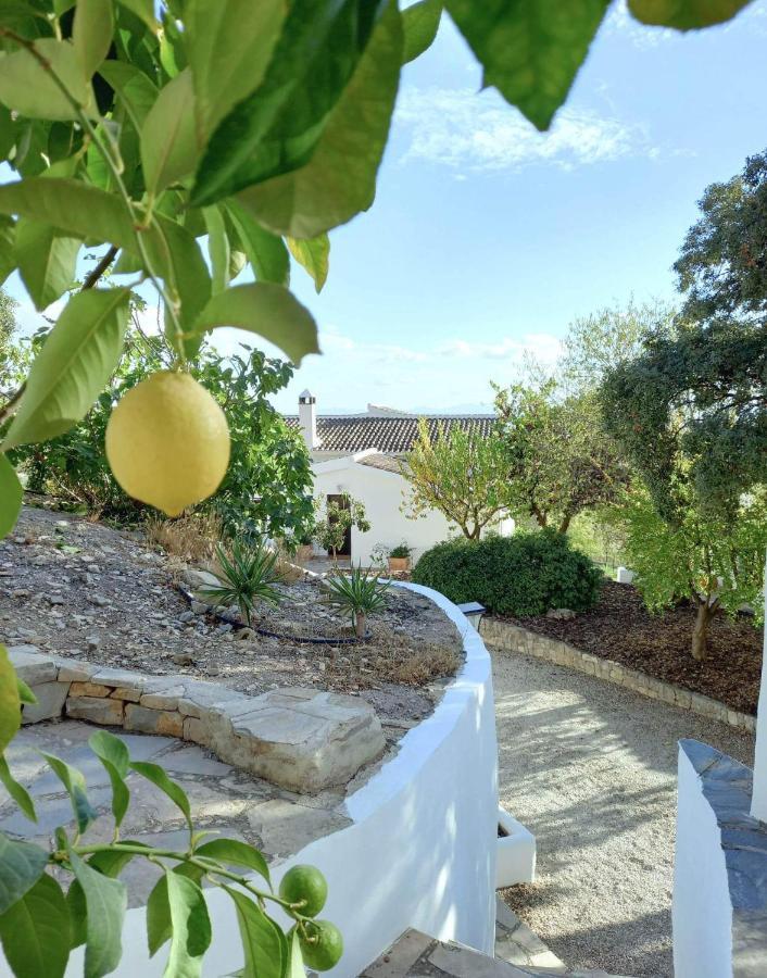 Cortijo La Fe Casa de hóspedes Montefrío Exterior foto
