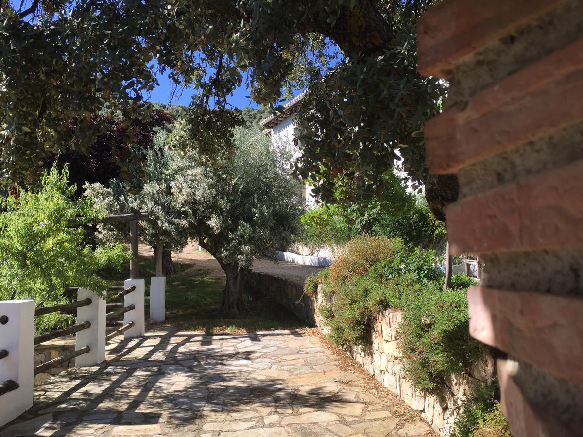 Cortijo La Fe Casa de hóspedes Montefrío Exterior foto
