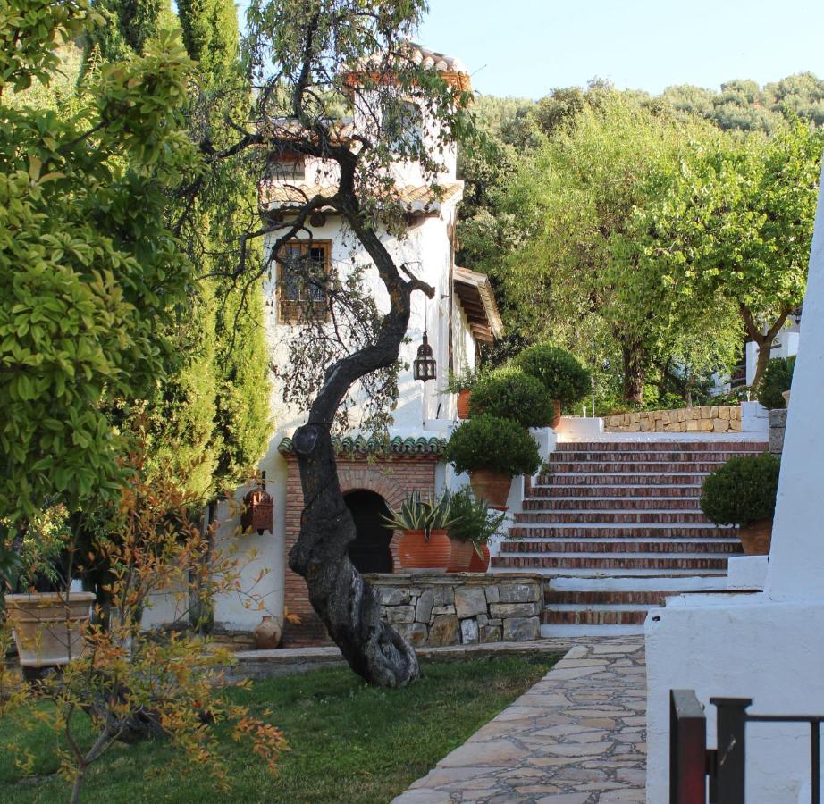 Cortijo La Fe Casa de hóspedes Montefrío Exterior foto